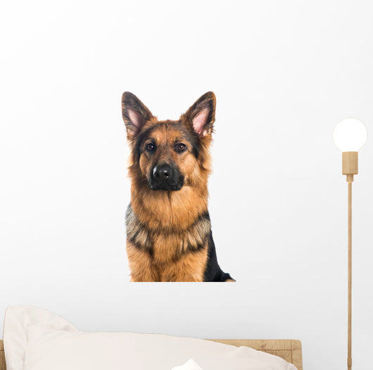 German Shepherd Dog Portrait Wall Decal
