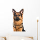 German Shepherd Dog Portrait Wall Decal