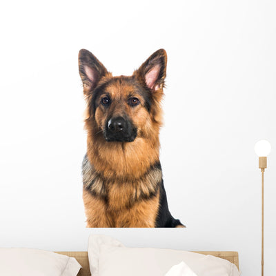 German Shepherd Dog Portrait Wall Decal shown on a wall
