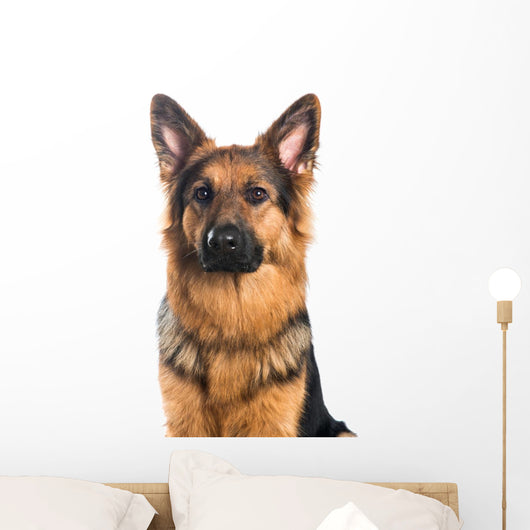 German Shepherd Dog Portrait Wall Decal