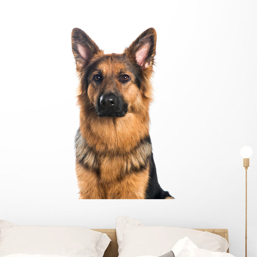 German Shepherd Dog Portrait Wall Decal