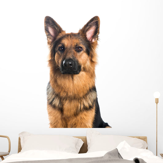 German Shepherd Dog Portrait Wall Decal