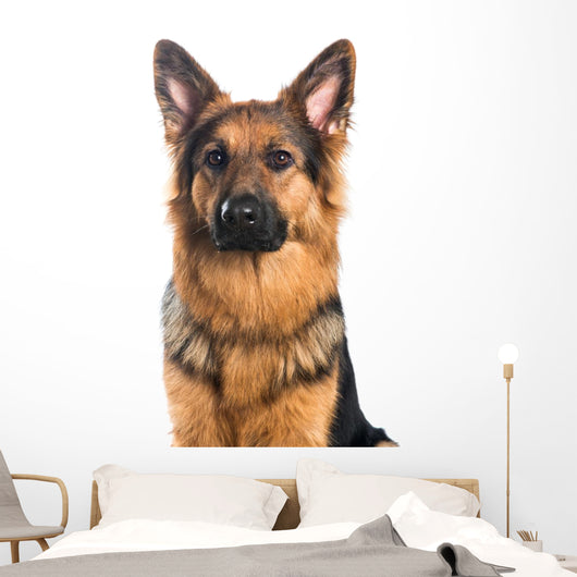 German Shepherd Dog Portrait Wall Decal