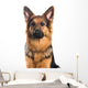 German Shepherd Dog Portrait Wall Decal