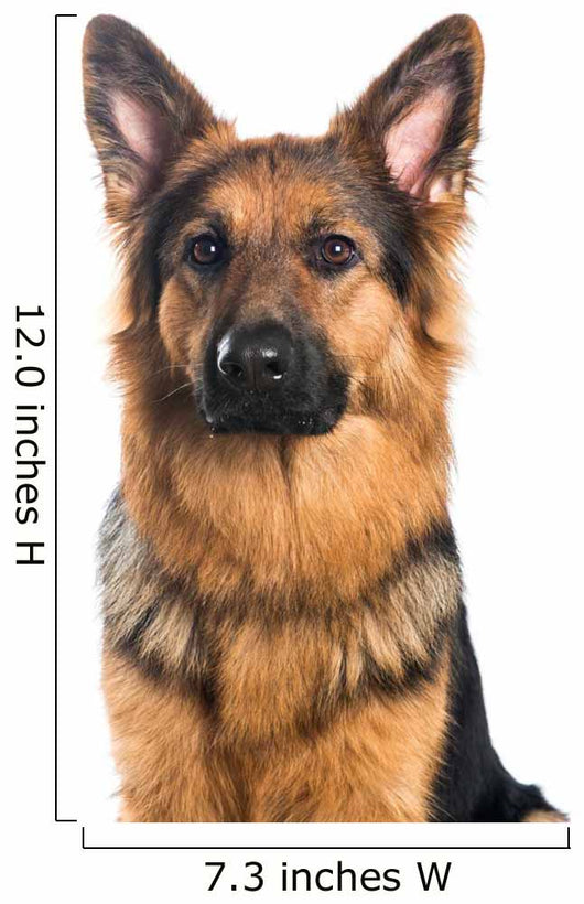 German Shepherd Dog Portrait Wall Decal