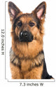 German Shepherd Dog Portrait Wall Decal