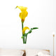 Yellow Zantedeschia White Wall Decal