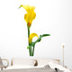 Yellow Zantedeschia White Wall Decal