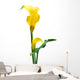 Yellow Zantedeschia White Wall Decal