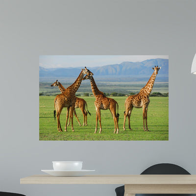 Giraffes Herd Savannah Wall Decal shown on a wall