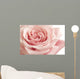 Pink Rose Closeup Wall Decal