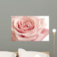 Pink Rose Closeup Wall Decal