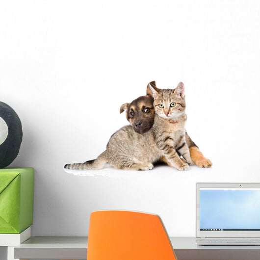 Puppy Playing with Tabby Wall Decal
