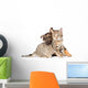 Puppy Playing with Tabby Wall Decal