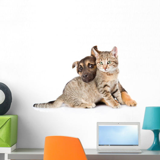 Puppy Playing with Tabby Wall Decal