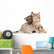 Puppy Playing with Tabby Wall Decal