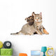 Puppy Playing with Tabby Wall Decal