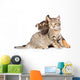 Puppy Playing with Tabby Wall Decal