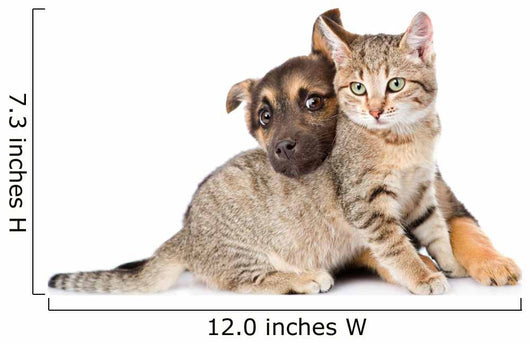 Puppy Playing with Tabby Wall Decal