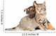 Puppy Playing with Tabby Wall Decal