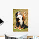 Bernese Mountain Dog Wall Decal
