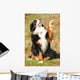 Bernese Mountain Dog Wall Decal