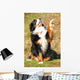 Bernese Mountain Dog Wall Decal