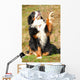 Bernese Mountain Dog Wall Decal