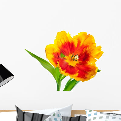 Yellow-red Spring Tulip Wall Decal shown on a wall