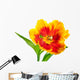 Yellow-red Spring Tulip Wall Decal