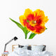 Yellow-red Spring Tulip Wall Decal