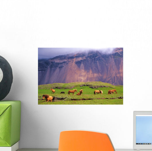 Icelandic Horses Meadow Iceland Wall Decal