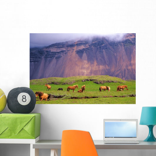 Icelandic Horses Meadow Iceland Wall Decal