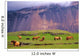 Icelandic Horses Meadow Iceland Wall Decal