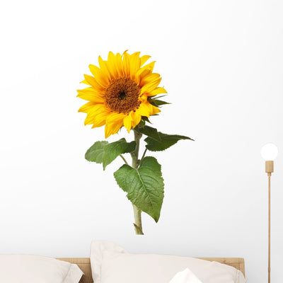 Sunflower Wall Decal shown on a wall