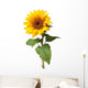 Sunflower Wall Decal