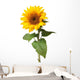 Sunflower Wall Decal