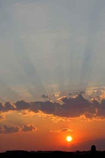 Sunrise Wall Mural