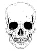 Detailed Skull Image Wall Decal