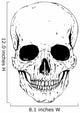 Detailed Skull Image Wall Decal