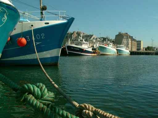 Fishing Cherbourg Port Wall Decal