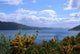 Lake Loch Ness Wall Decal