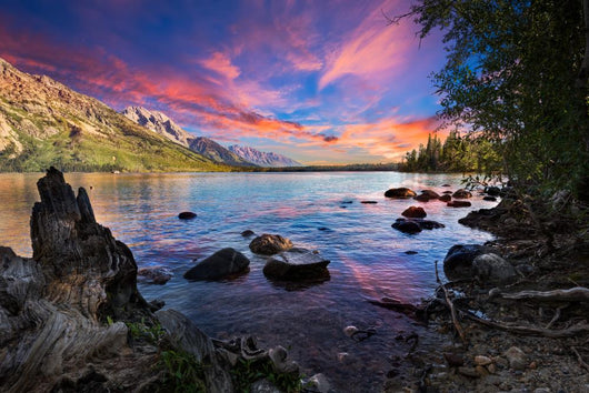 Jenny Lake Wall Decal