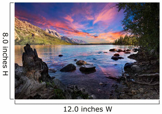 Jenny Lake Wall Decal