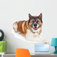 Akita Dog Wall Decal