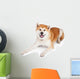 White and Brown Akita Wall Decal