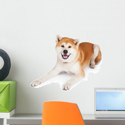 White and Brown Akita Wall Decal