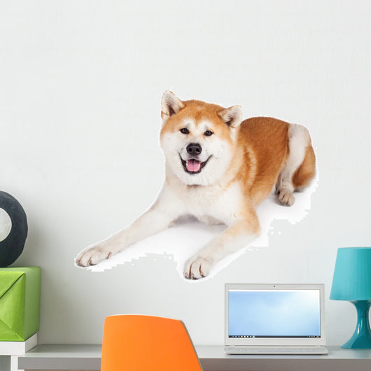 White and Brown Akita Wall Decal