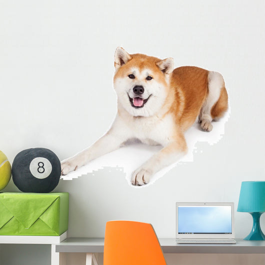 White and Brown Akita Wall Decal