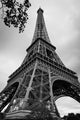 Eiffel Tower Black and Wall Decal